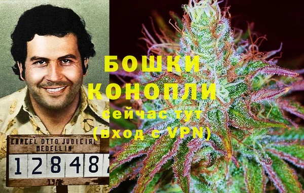 мет Белокуриха